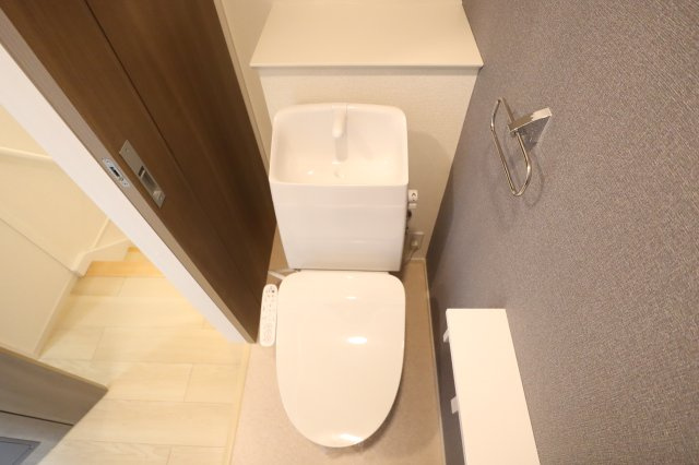 プレアデス光の玄関