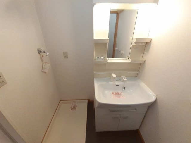 メゾンズタカマツＡの洗面所