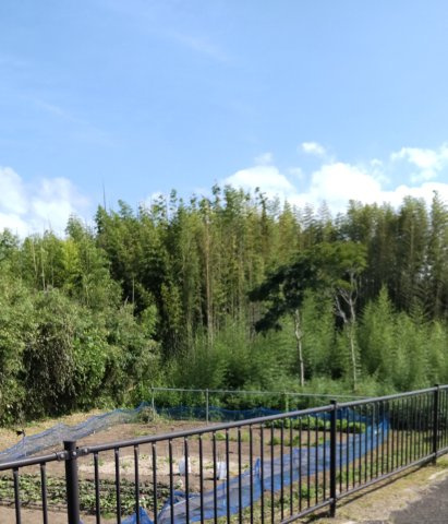 上真倉バイパスの外観