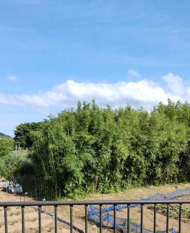 上真倉バイパスの外観