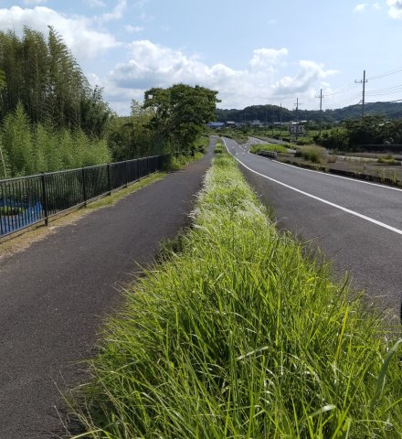 上真倉バイパスの外観