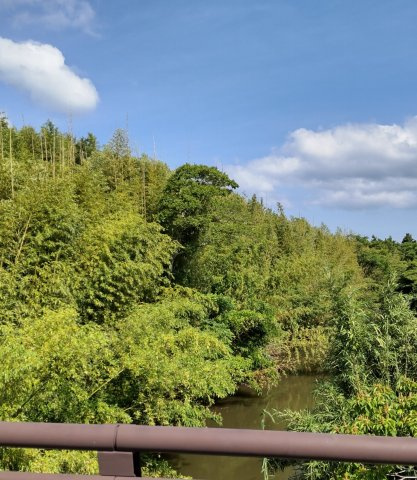 上真倉バイパスの外観