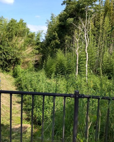 上真倉バイパスの外観