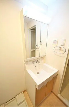 レジュールアッシュＪＵＳＯの洗面所