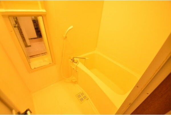 メゾンドレーヌの浴室