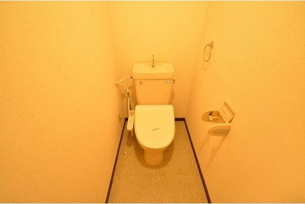 メゾンドレーヌのトイレ