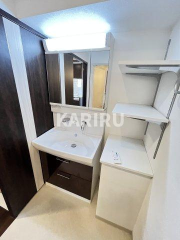 プレジオ内代の洗面所