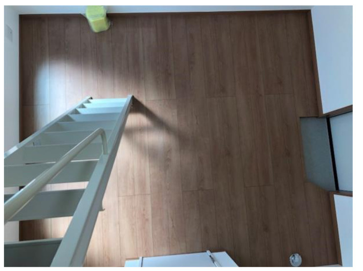 ソフィアスイング(家具付き)の展望