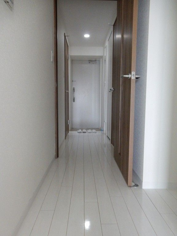 ポローニア立花通りの玄関