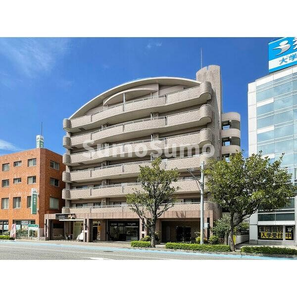 ビエラコート大橋の外観