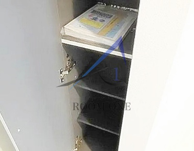 エルスタンザ綾瀬１丁目のその他