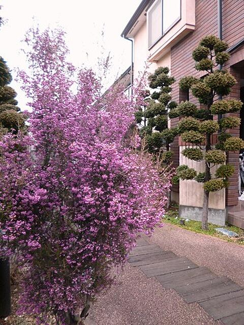 練馬区羽沢２丁目のアパートのその他