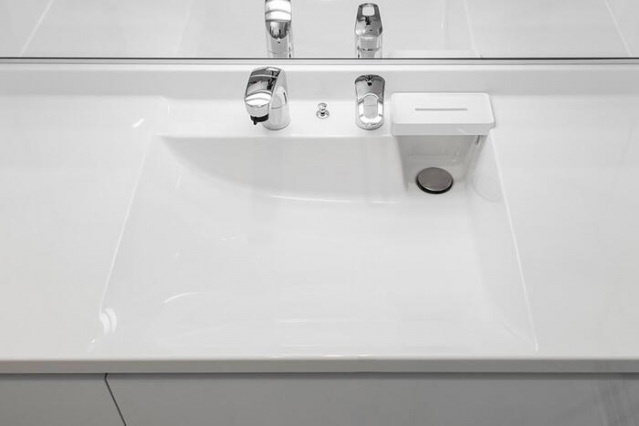 ヴェルディ・タワーヴィレッジ宇品【ウエスト】の洗面所