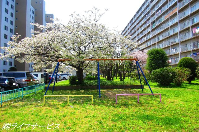 【その他共用部分】 | 新北野コーポＢ棟 | 敷地内公園