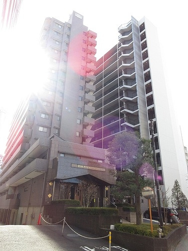 ライオンズシティ西新宿の外観|建物外観　※2023年2月撮影