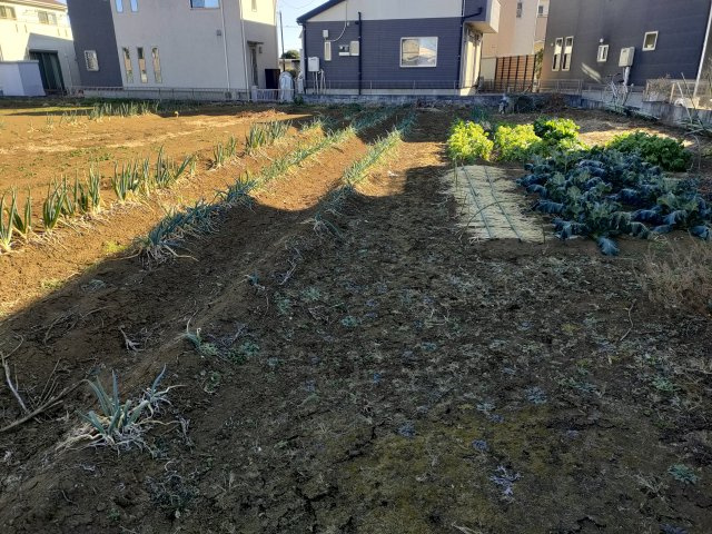 入間市売土地の外観