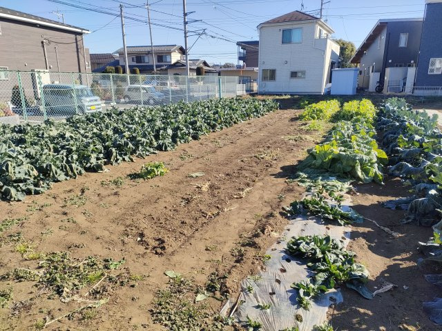 入間市売土地の周辺