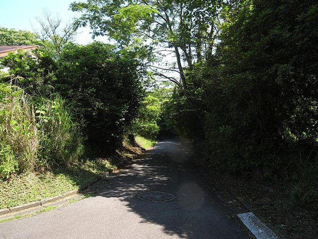 伊東市　イトーピア一碧の前面道路含む現地写真