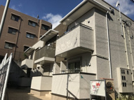 アルビコッコの画像