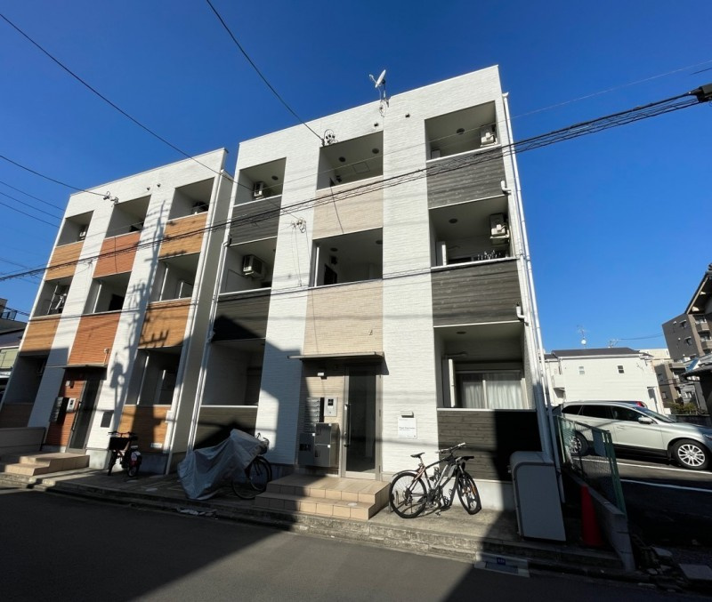 Ｒｅｇａｌｏ　Ｓｈｉｇａ－ｈｏｎｄｏｒｉ　