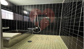 【浴室】 | 東大阪市布市町２丁目戸建