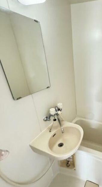 グレースリセの洗面所