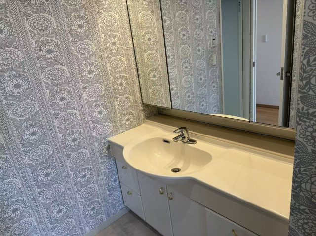 アスティオス狛江の独立洗面台