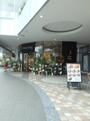 【周辺】 | ガーラ新宿西落合