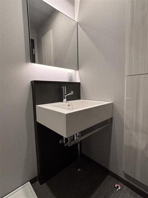 Ｒ－ＳＴＹＬＥ文京小石川の洗面所