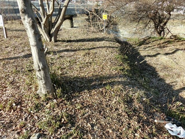 小川町青山　土地39坪の外観