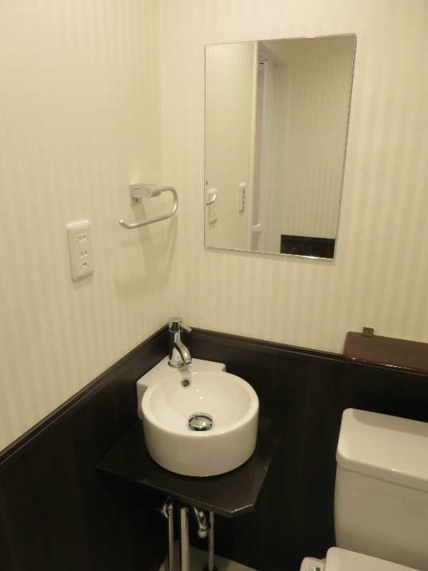 アクシルコート新大橋の洗面所