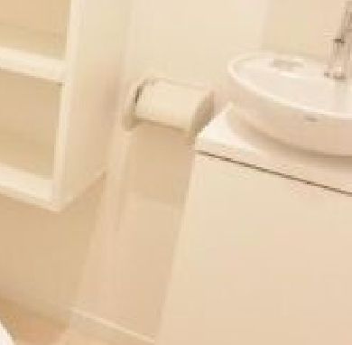 Ｔ`ｓ　ＯＴＡＫＩＢＡＳＨＩの独立洗面台|嬉しい独立洗面台（同一仕様写真）