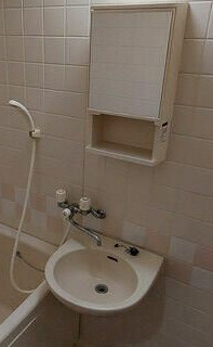 ベイ・アルファ常盤台の洗面所