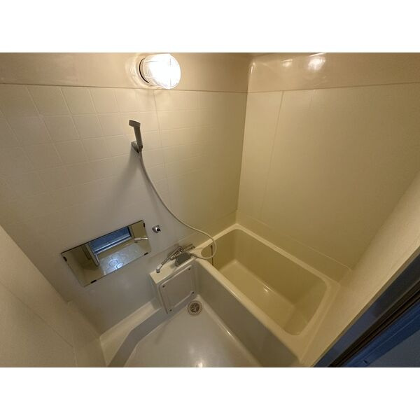 アパルトマン松栄の浴室