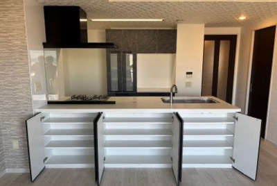 【キッチン】 | ルイシャトレ平野喜連II番館 | 収納付きデザイナーズ仕様のキッチン