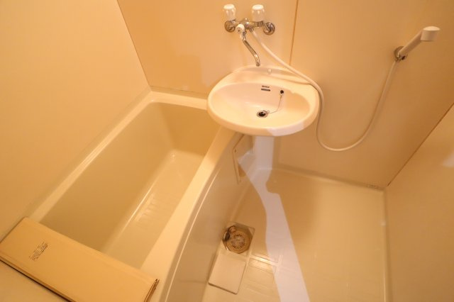 ライズ綾の洗面所