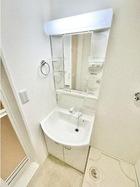 アルバーノ北山(アルバーノキタヤマ)の洗面所