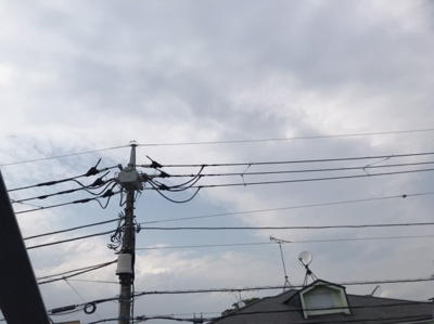 【展望】 | ドルチェ豪徳寺