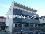 ラッフィナートの画像