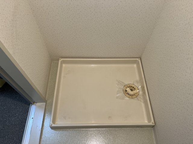 ペシュmotoshioのその他