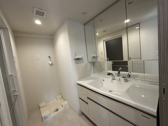 プレサンスロジェ岐阜ザ・クラス【12階】の独立洗面台