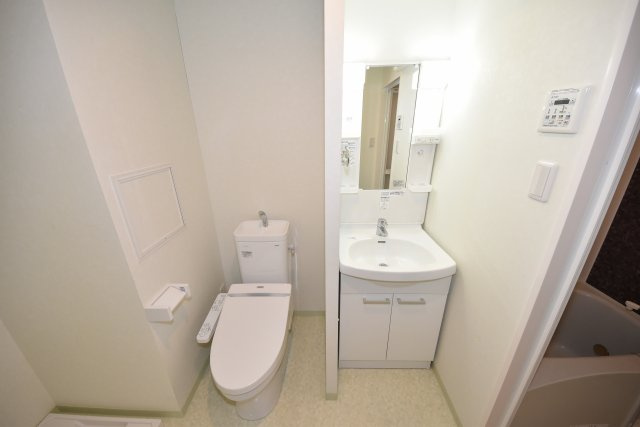 ロイヤルコート立売堀の洗面所