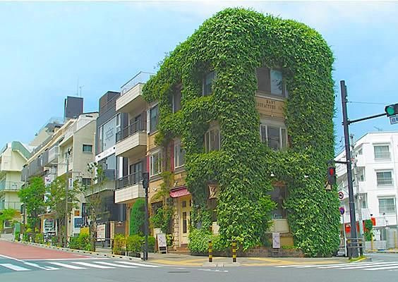 ドゥアージュコラッド松濤のその他