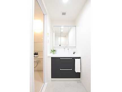 ロイヤルアーク庚午南の独立洗面台