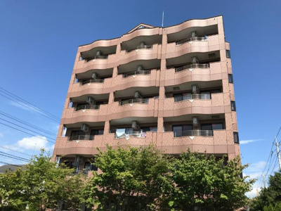 【外観】 | シュノンソー