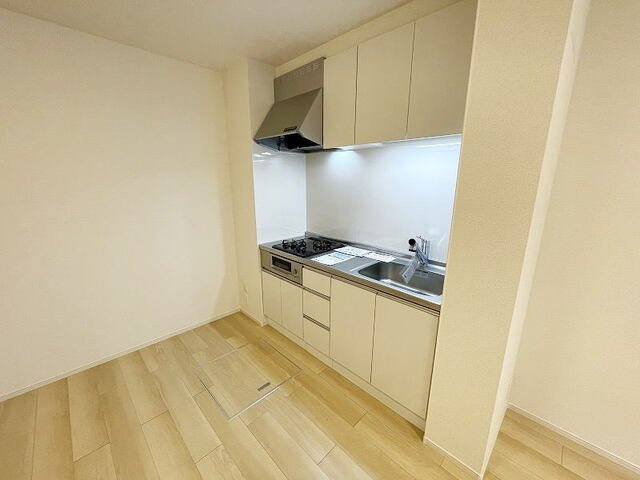 アザール　Ⅲのキッチン|使いやすいキッチンです