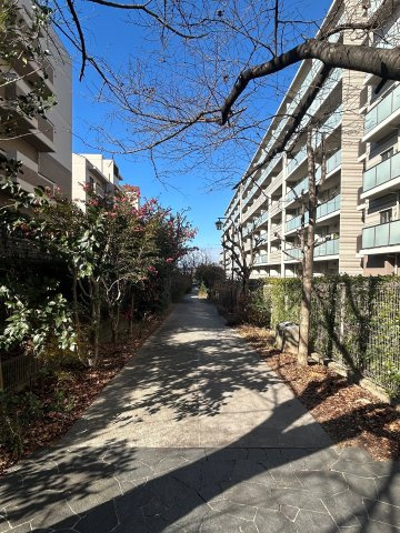 ガーデンコート和泉中央１号棟5階の周辺|マンション裏の並木道