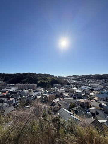 Kamakura Retreat House ― 緑に抱かれて暮らす、杉板の家 ―の展望