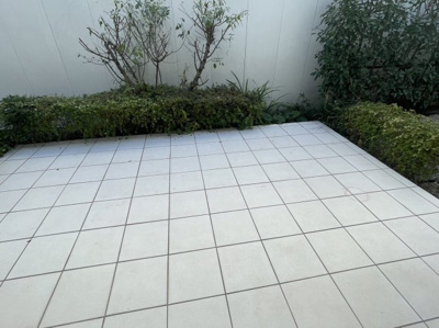 【その他】 | ロンサール等々力