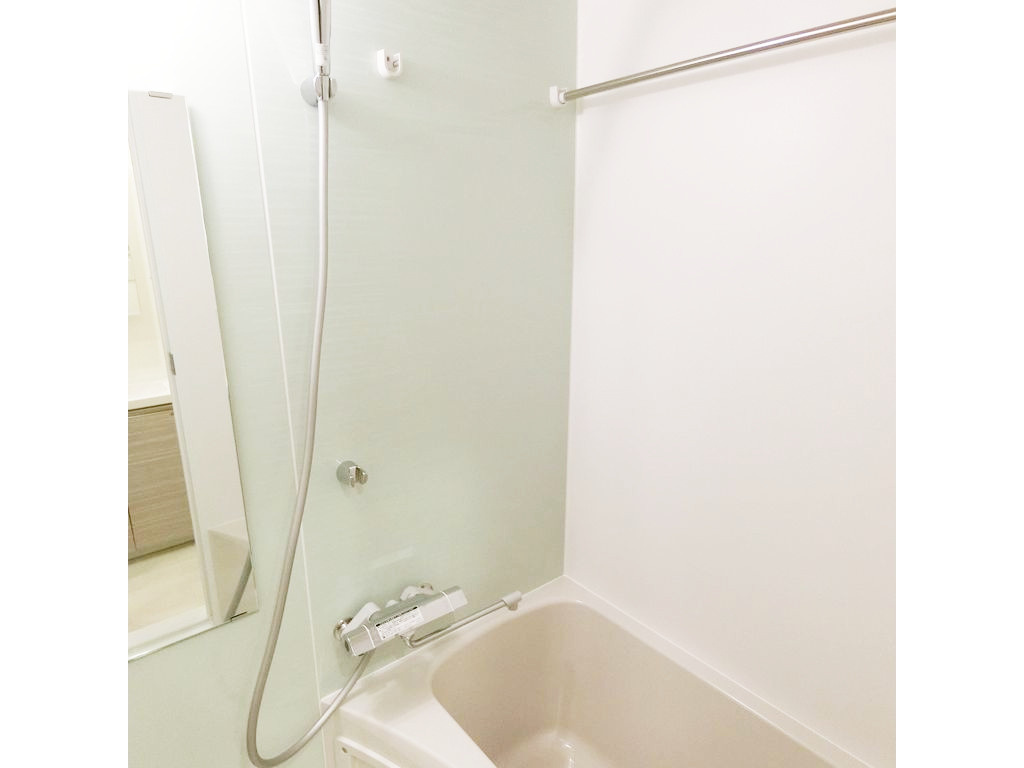 ディアレイシャス市谷薬王寺の内装